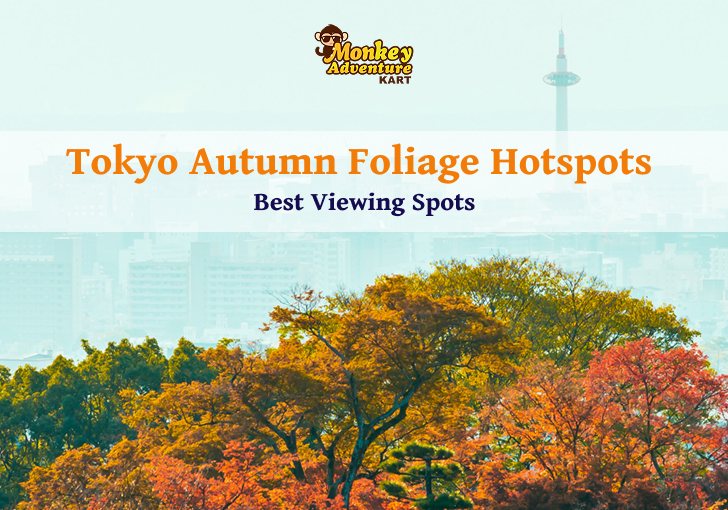 Tokyo Autumn Foliage Hotspots | Best Viewing Spots