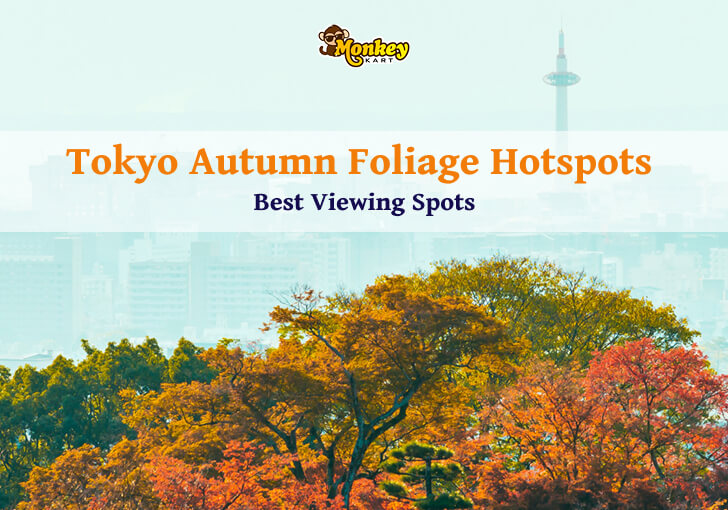 Tokyo Autumn Foliage Hotspots | Best Viewing Spots